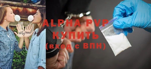 Альфа ПВП Няндома