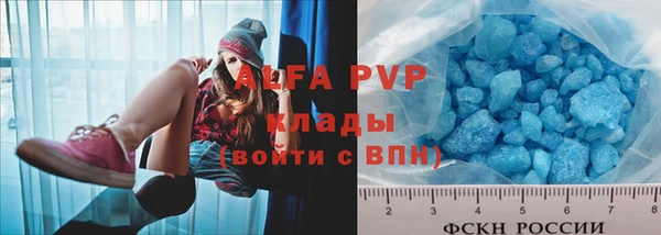 Альфа ПВП Няндома