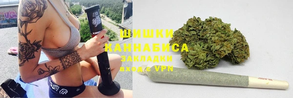 Альфа ПВП Няндома