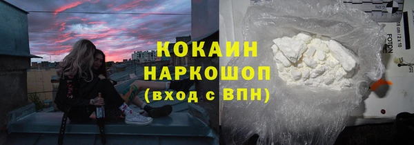 Альфа ПВП Няндома
