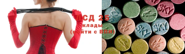 Альфа ПВП Няндома