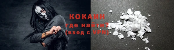 Альфа ПВП Няндома