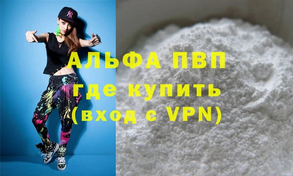 Альфа ПВП Няндома