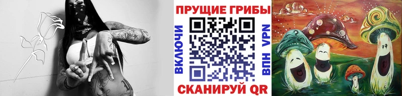 Псилоцибиновые грибы GOLDEN TEACHER  Белая Холуница 